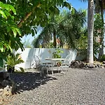 Palmeras *