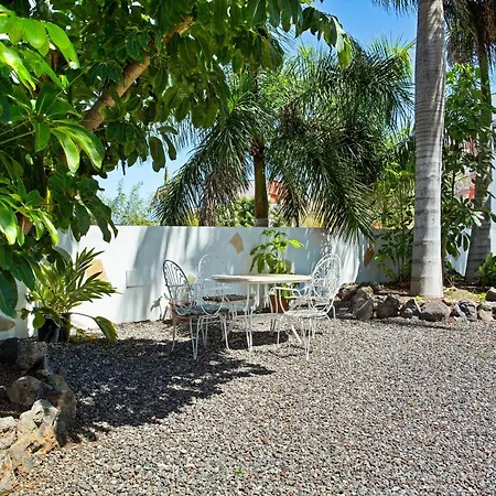 Palmeras *